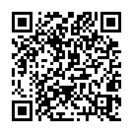QR code for 233SMS