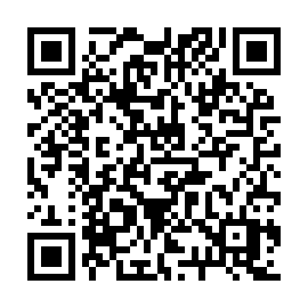 QR code for 234IST