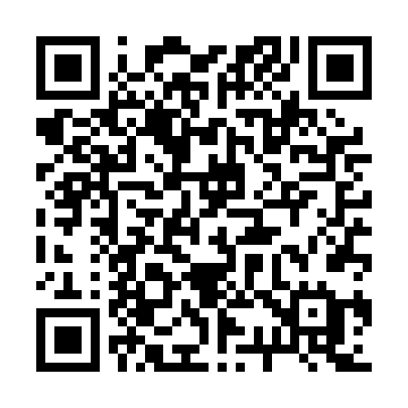QR code for 234PFE