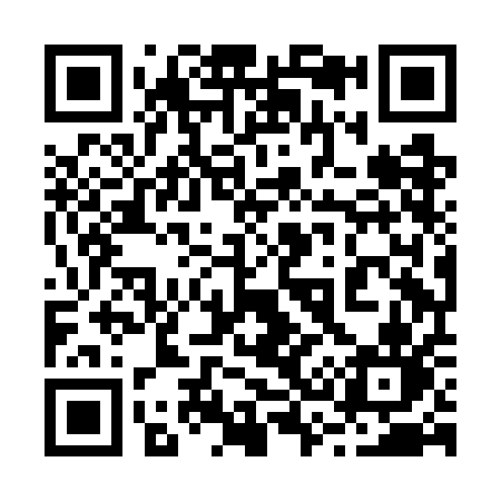 QR code for 238GAN