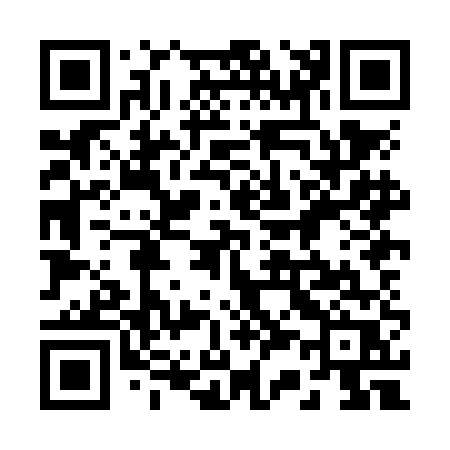 QR code for 238NER