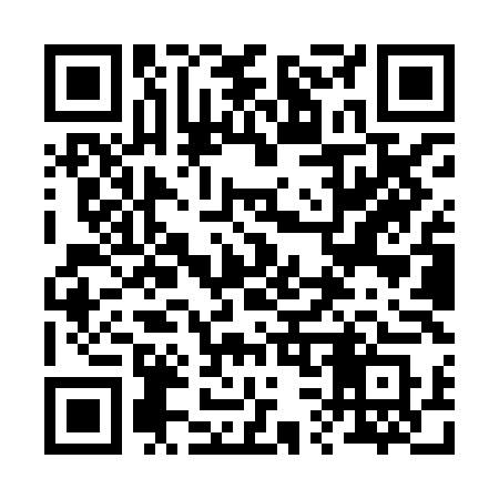 QR code for 239XLS