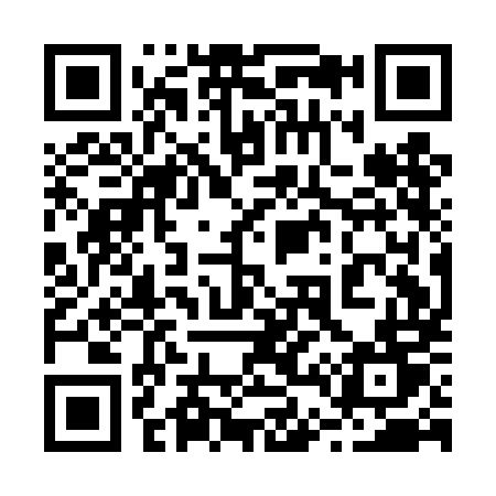 QR code for 241DMT