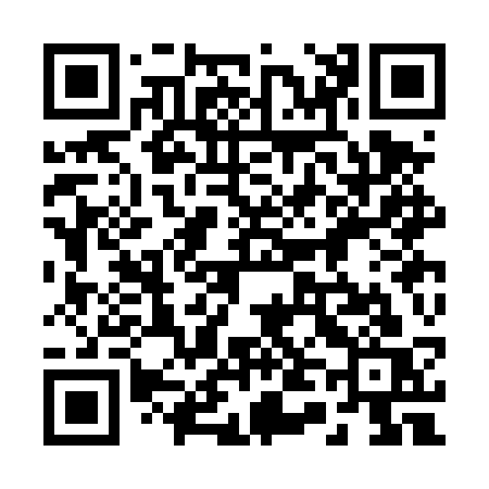 QR code for 243DSS