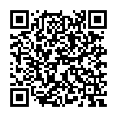QR code for 245DMZ