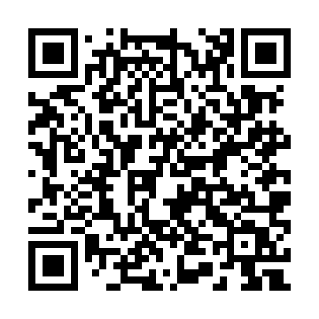 QR code for 246MMT