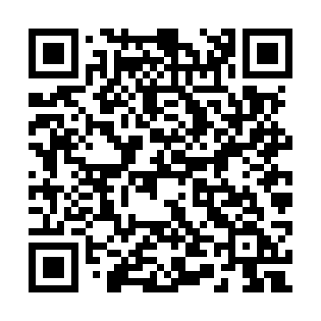 QR code for 246MSF
