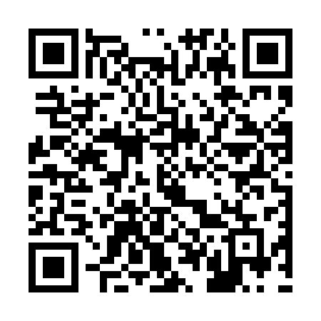 QR code for 246PCE