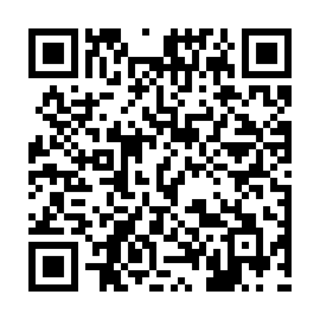QR code for 246SIA