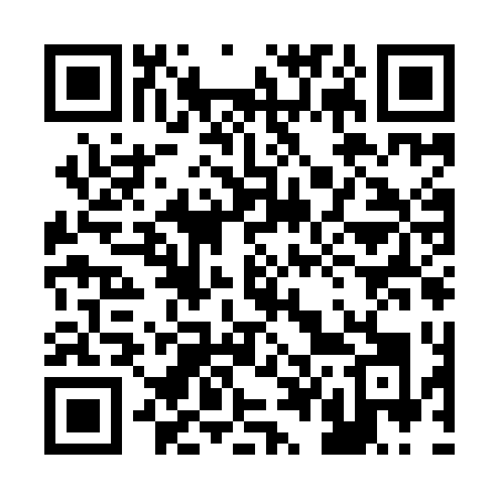 QR code for 249IDK