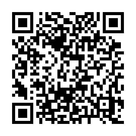 QR code for 250SHZ