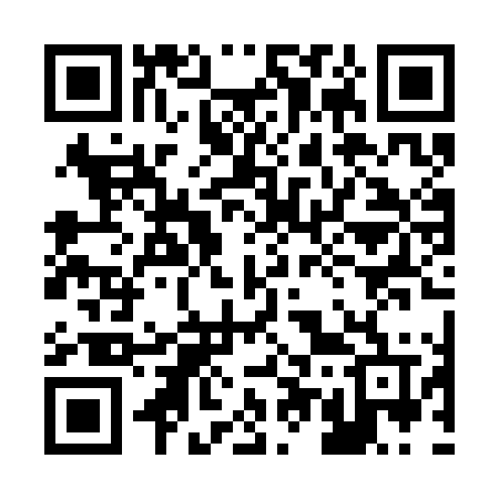 QR code for 250SLV