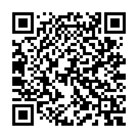 QR code for 250VGX