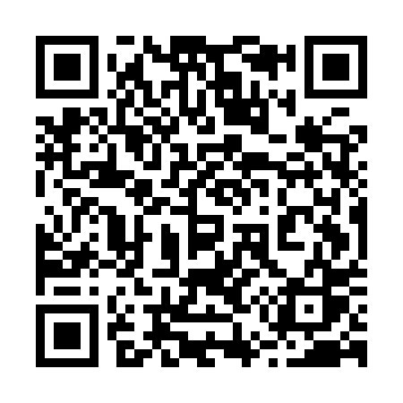 QR code for 255IPS
