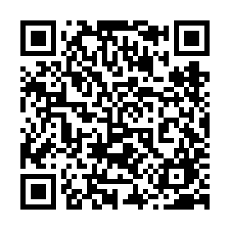 QR code for 256FIG