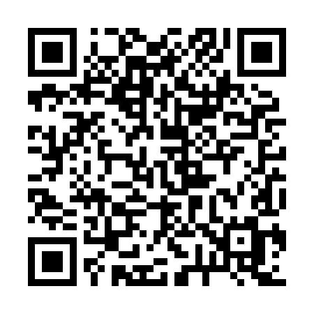 QR code for 272XIM