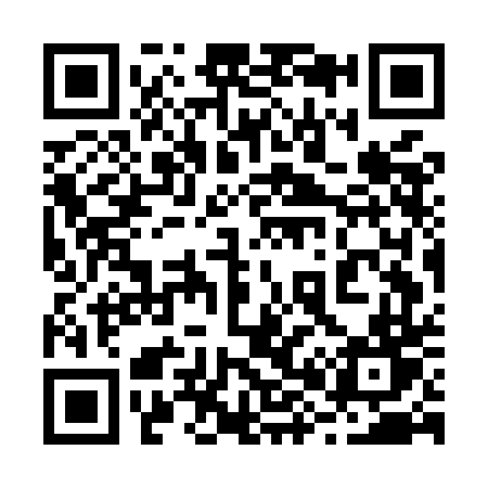QR code for 287MDT