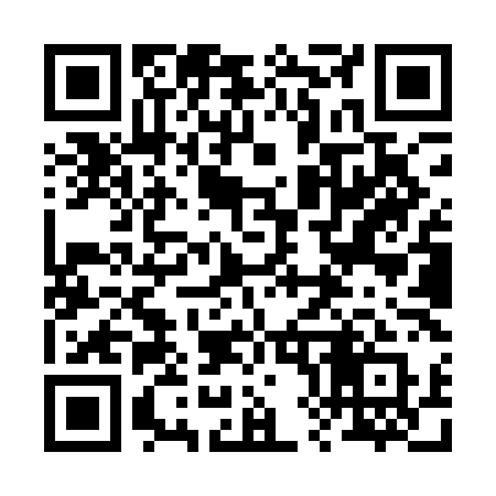 QR code for 289QLQ