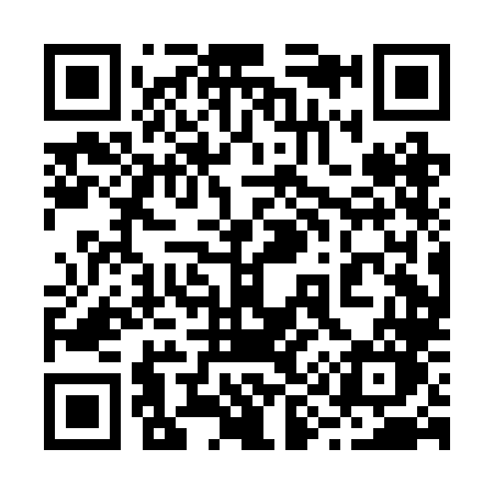 QR code for 290BLO