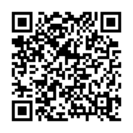 QR code for 290CSM
