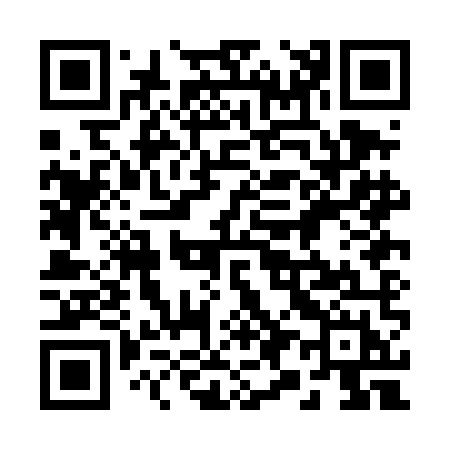 QR code for 290DMH