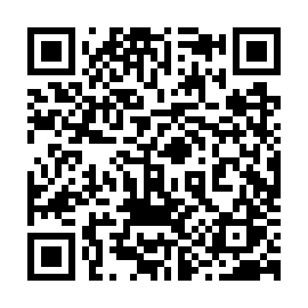 QR code for 290GZS