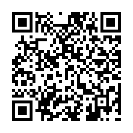 QR code for 290IAN