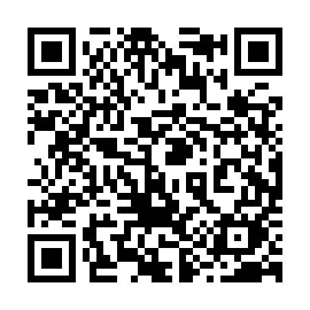 QR code for 290IUM