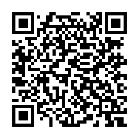 QR code for 290LKV