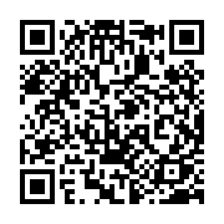 QR code for 290PQP