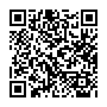 QR code for 290QPS