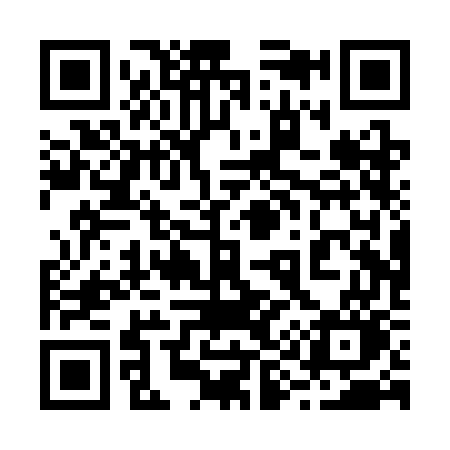 QR code for 290SGO