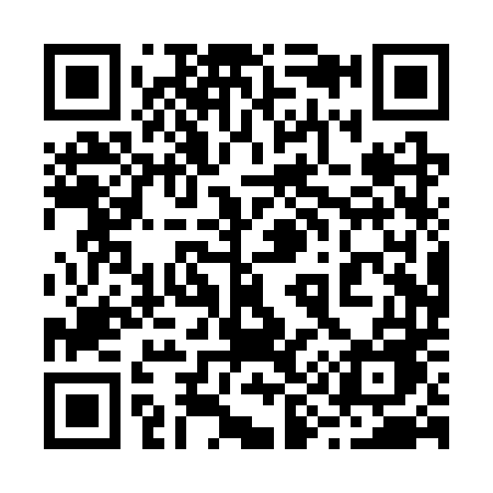 QR code for 290STE