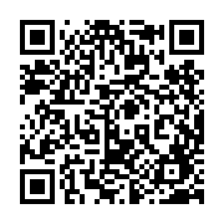 QR code for 290TEF