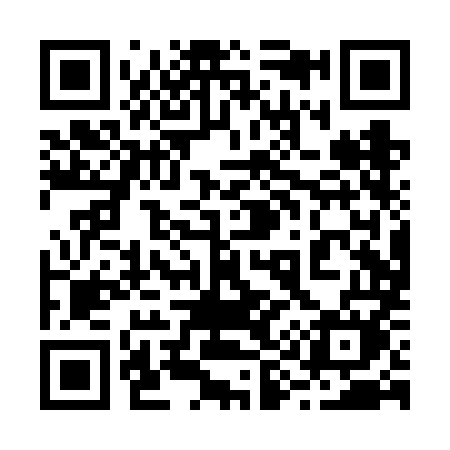 QR code for 290VMM