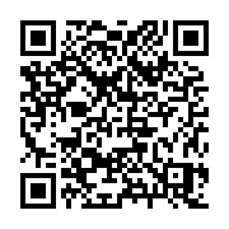 QR code for 290XJS