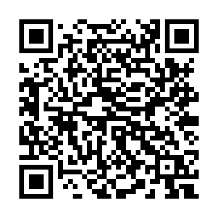 QR code for 290XSR