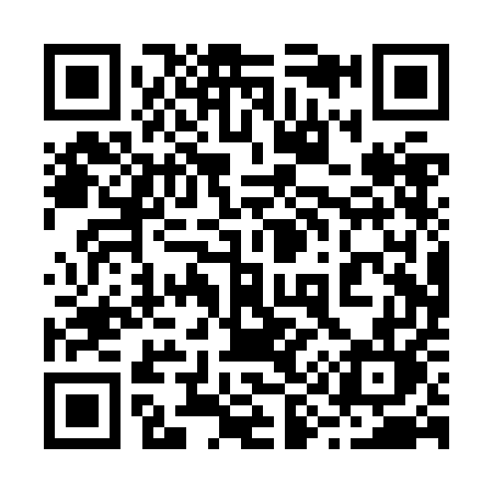 QR code for 290ZEL