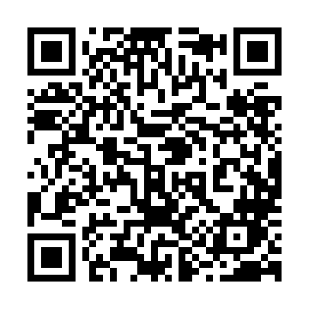 QR code for 290ZLN