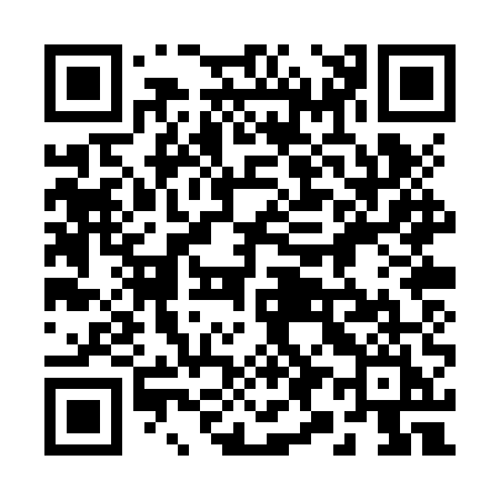 QR code for 290ZUI