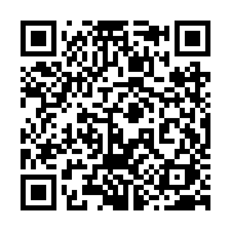 QR code for 291BZI