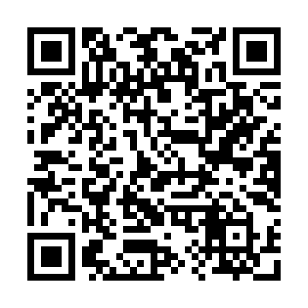 QR code for 291CYY