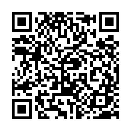 QR code for 291ENS
