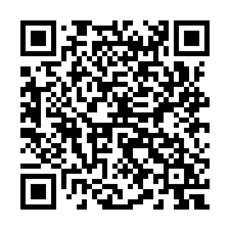 QR code for 291IPU