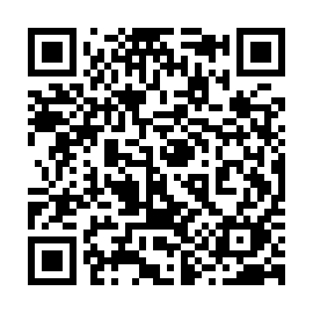 QR code for 291IQM