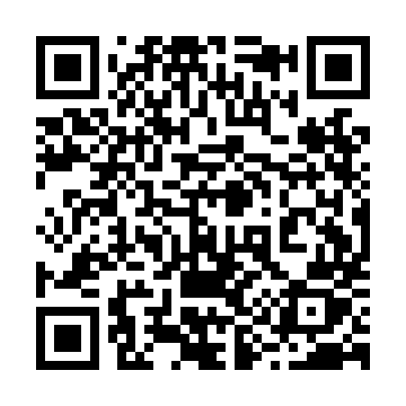 QR code for 291LMZ