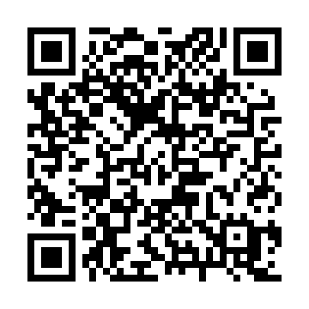 QR code for 291LSE