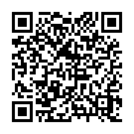 QR code for 291MAZ