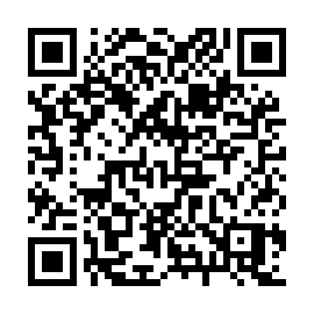 QR code for 291MCP