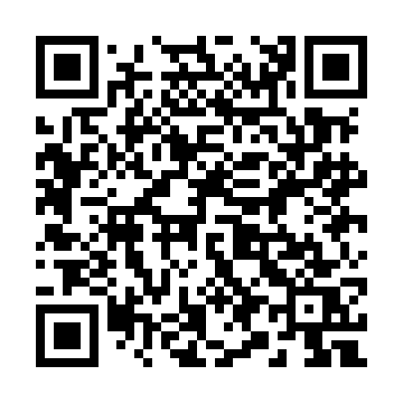 QR code for 291MGS